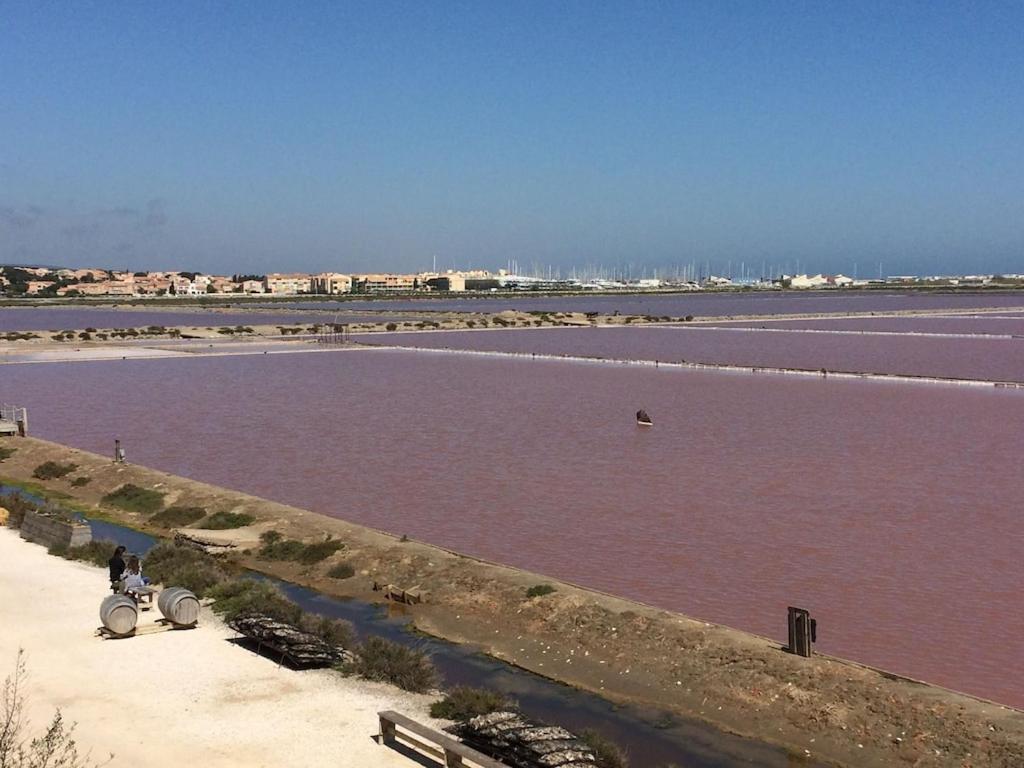 Gruissan Appartement Calme, Vue Sur Port De Plaisance -Clim, Empl.Parking Buitenkant foto
