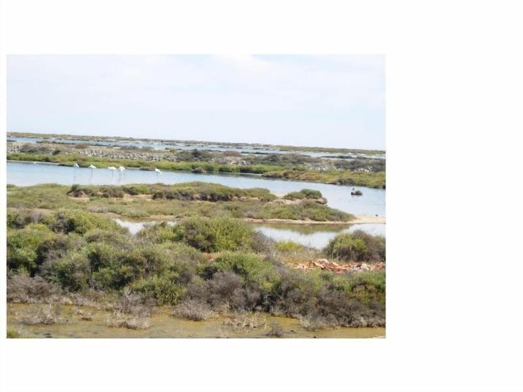 Gruissan Appartement Calme, Vue Sur Port De Plaisance -Clim, Empl.Parking Buitenkant foto